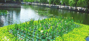 我公司想上一個污水處理項目，制訂技術方案時需要提供哪些資料？