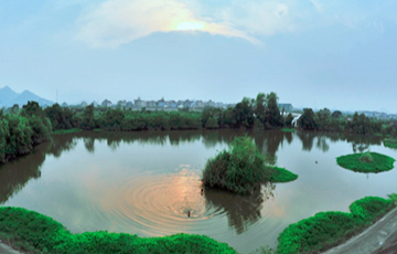 坑塘水體黑臭治理方案